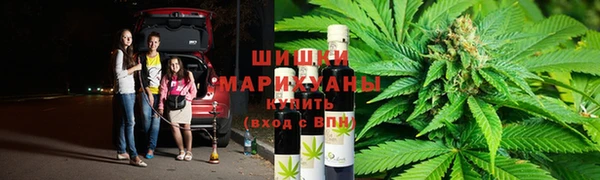 спайс Касимов