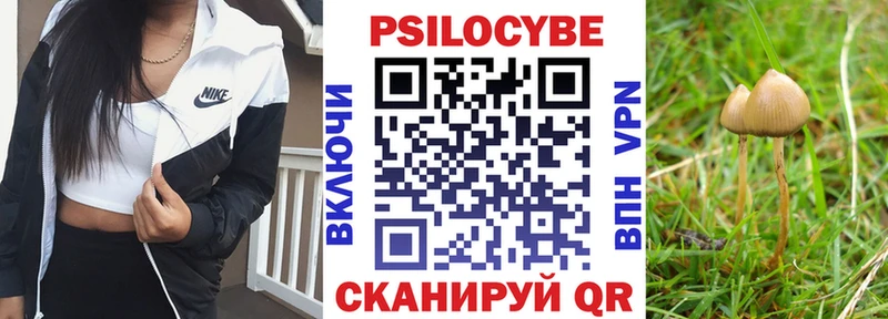 Галлюциногенные грибы GOLDEN TEACHER  купить наркоту  Ессентуки 